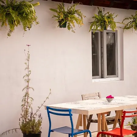 Coastal Vineyard Hideaway