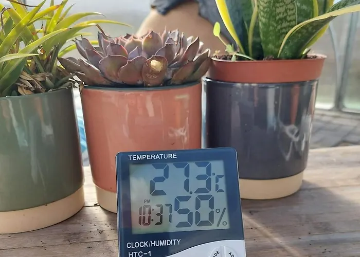 Coastal Vineyard Hideaway *